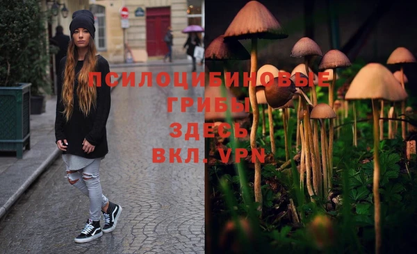 винт Весьегонск