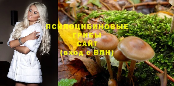 наркотики Белокуриха
